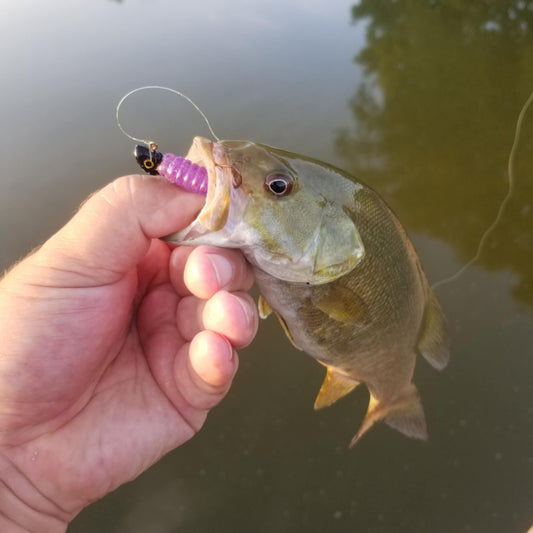 25pcs - 3" Curly Tail Grub - Galaxy Grape