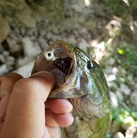 25pcs - 3" Curly Tail Grub - Biohazard Red