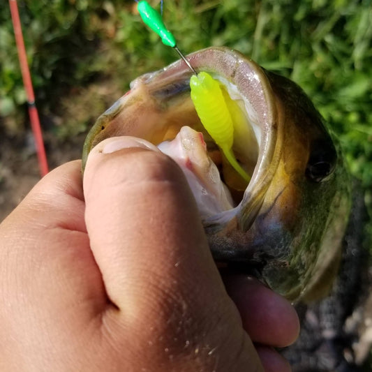 25pcs - 3" Curly Tail Grub - Chartreuse