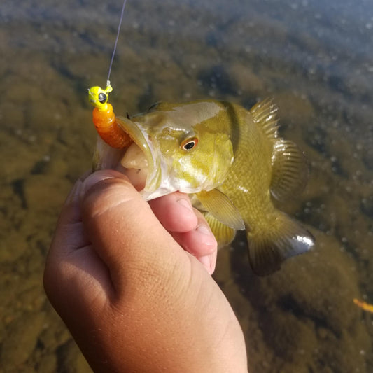 25pcs - 3" Curly Tail Grub - Cajun Heat