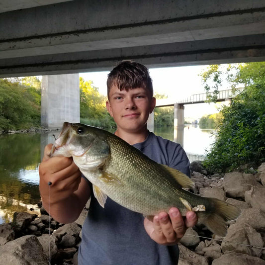 8pcs - 5" Stick Worm - Strawberry Cream