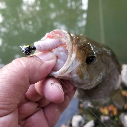 25pcs - 3" Curly Tail Grub - Strawberry Cream