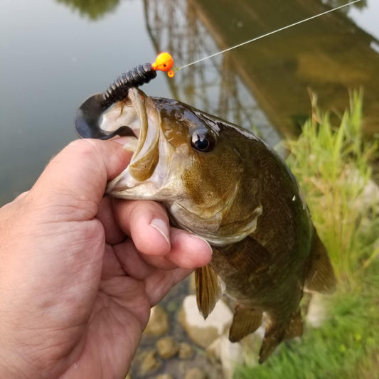 25pcs - 3" Curly Tail Grub - Black