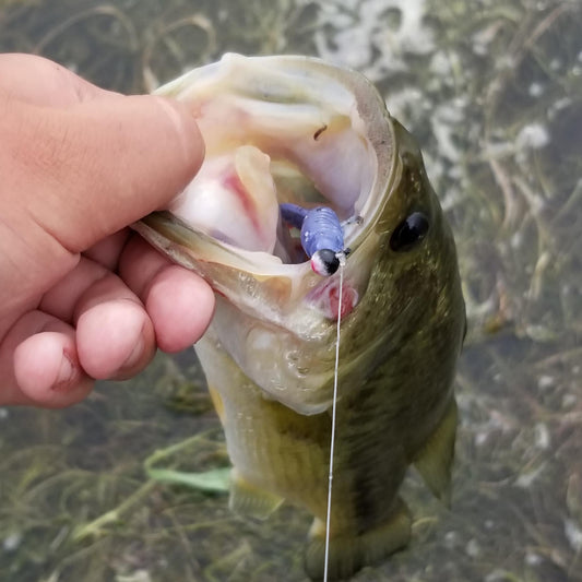 25pcs - 3" Curly Tail Grub - Violet Vortex