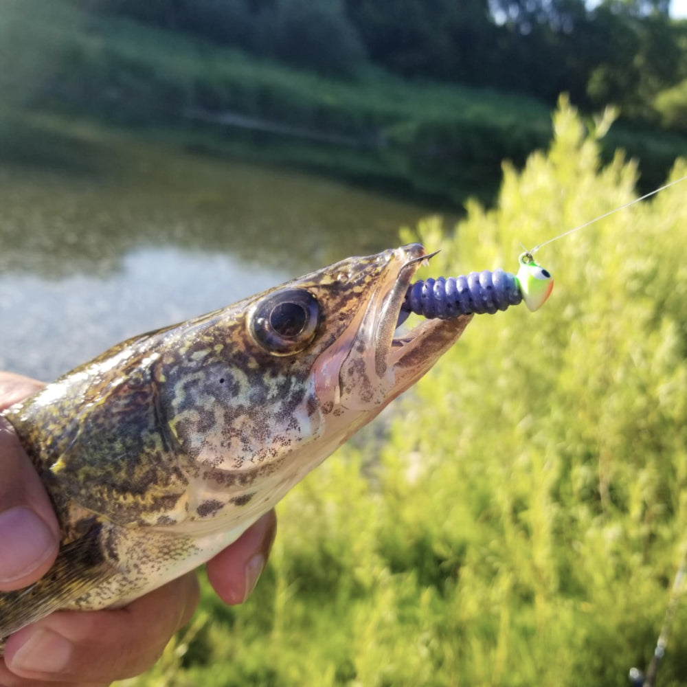25pcs - 3" Curly Tail Grub - Violet Vortex