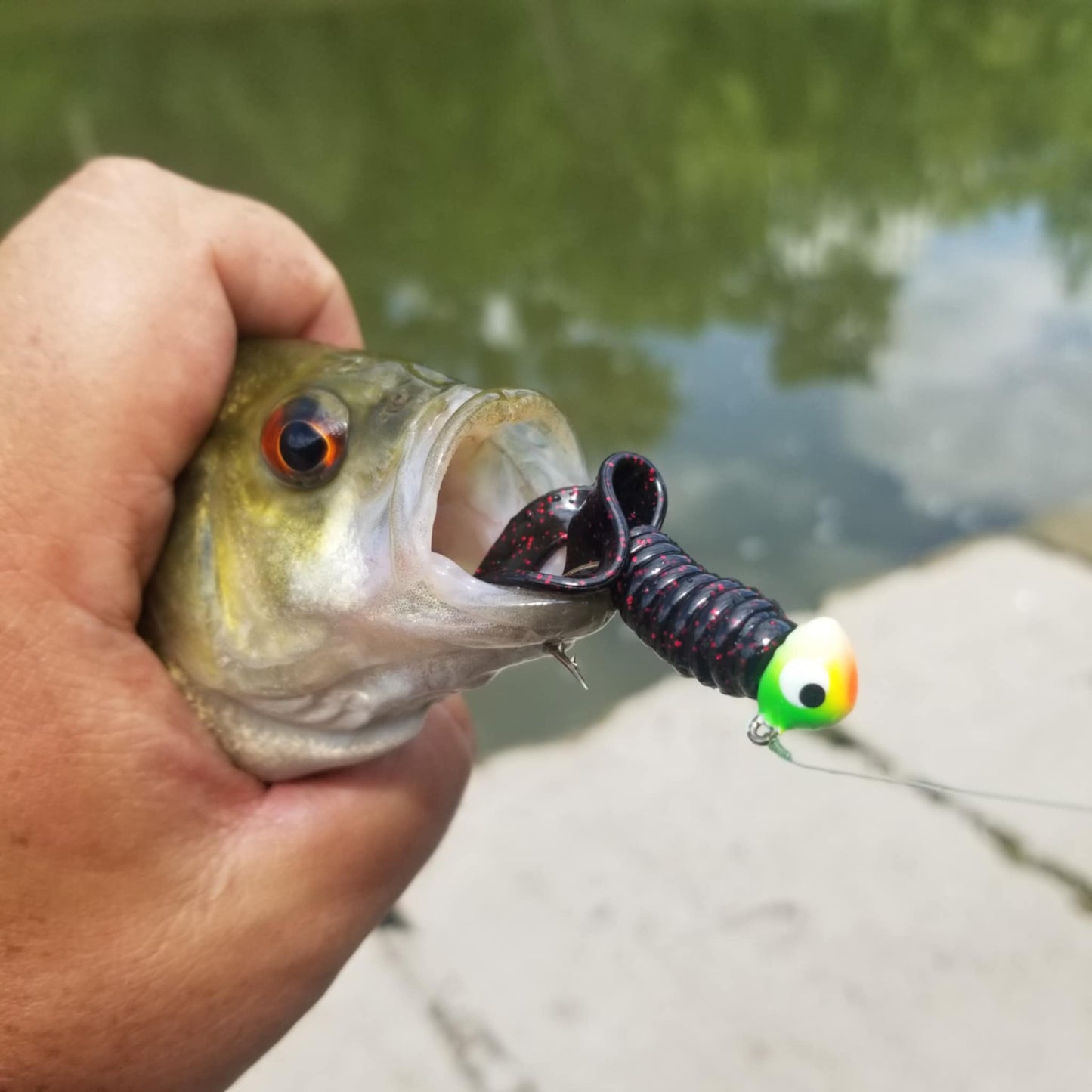 25pcs - 3" Curly Tail Grub - Black Cherry Spark