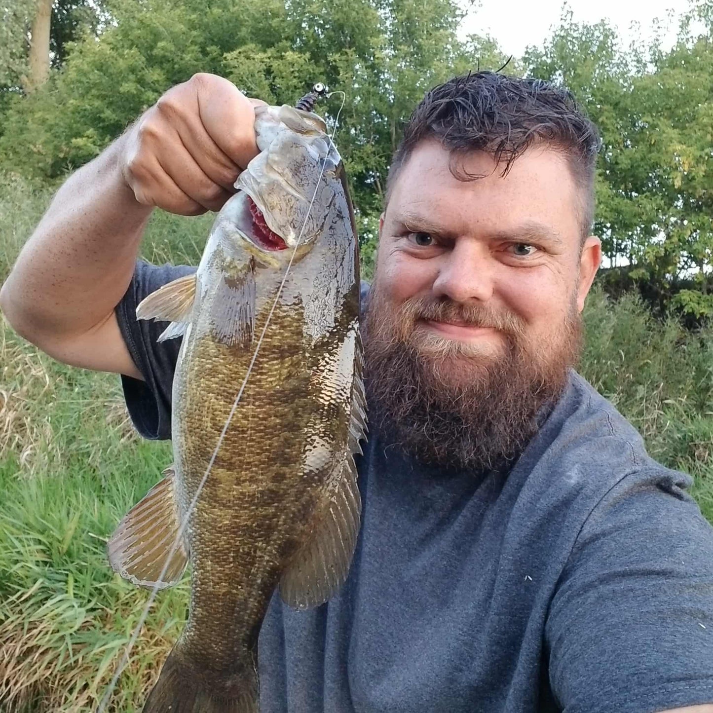 25pcs - 3" Curly Tail Grub - Black Cherry Spark